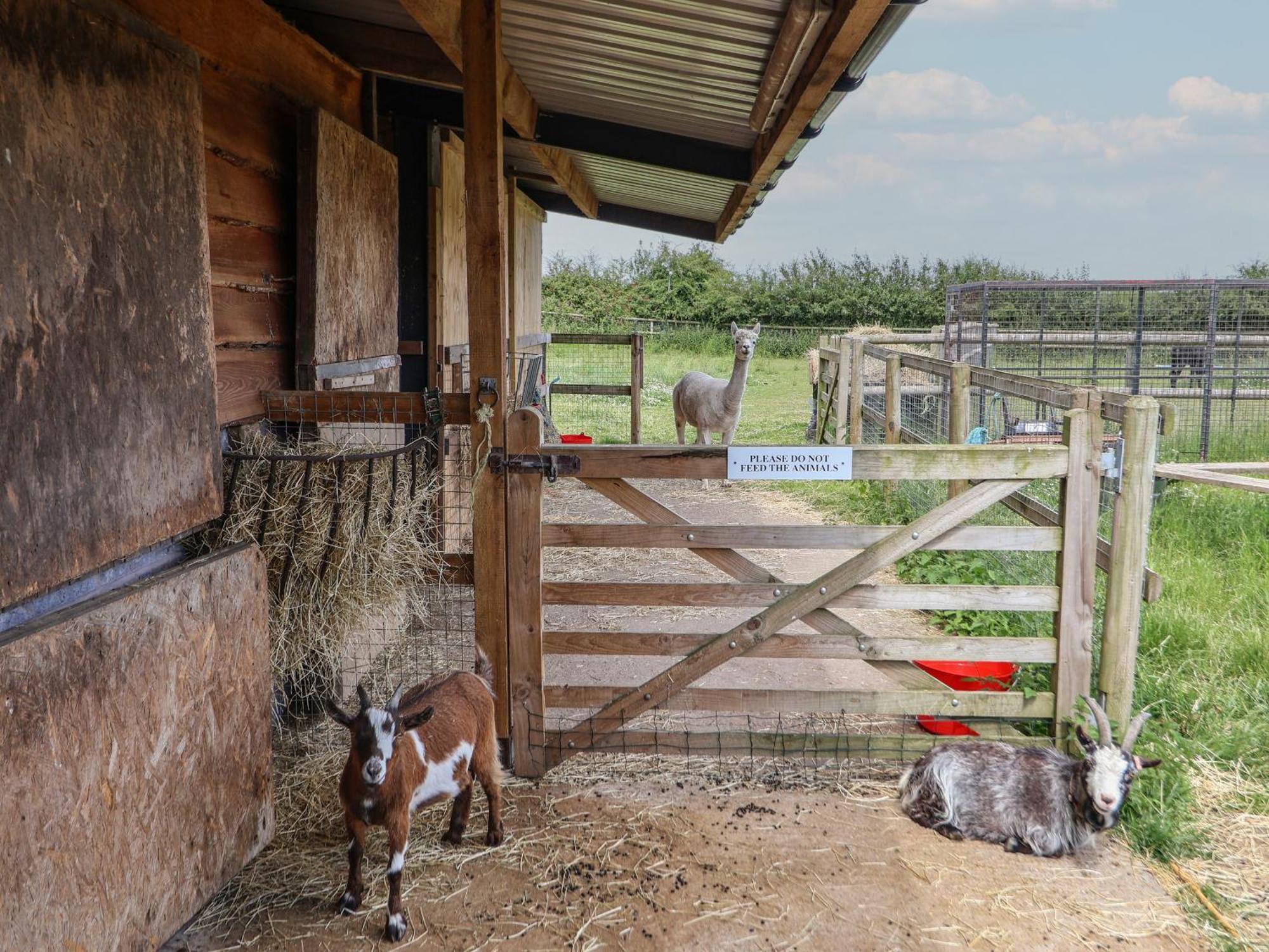 הוילה צ'סטר The Hay Barn מראה חיצוני תמונה